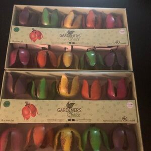NWT Vintage-y & Funky Indoor/Outdoor Decorative Lights by Gardener’s Choice